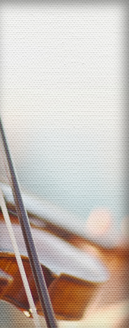 Close up of a violin