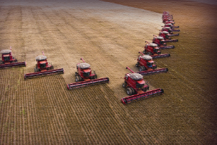 Line of multiple tractors harvesting a crop