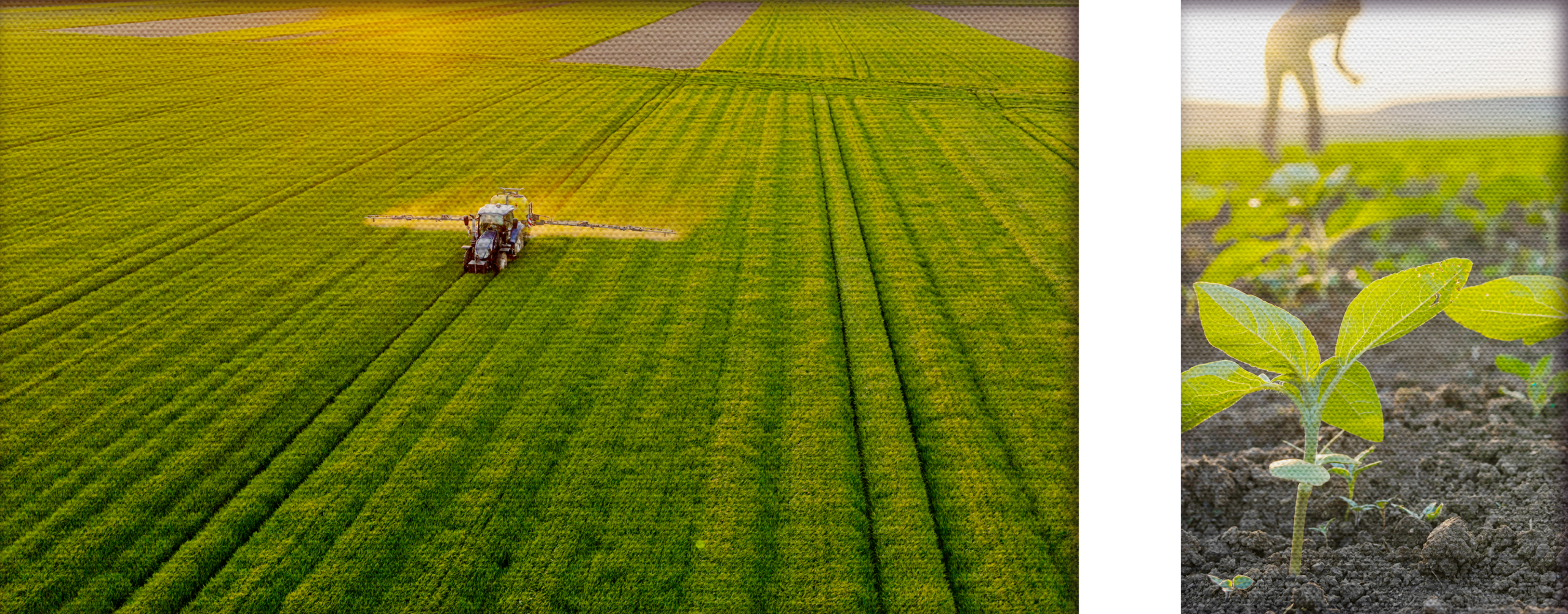 Symphony-Risk-Solutions-Grow-Double-Image@2x 1