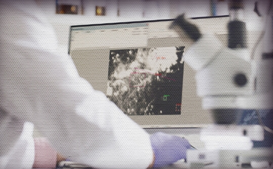 Scientist working in a lab