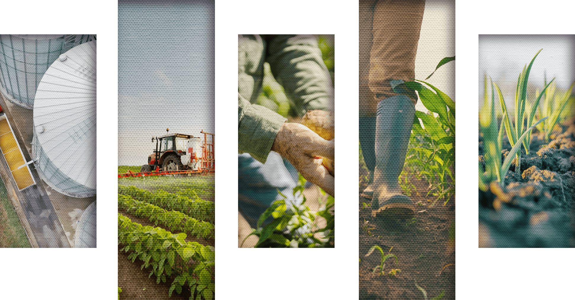 Symphony-Risk-Symphony-Grow-Collage@2x